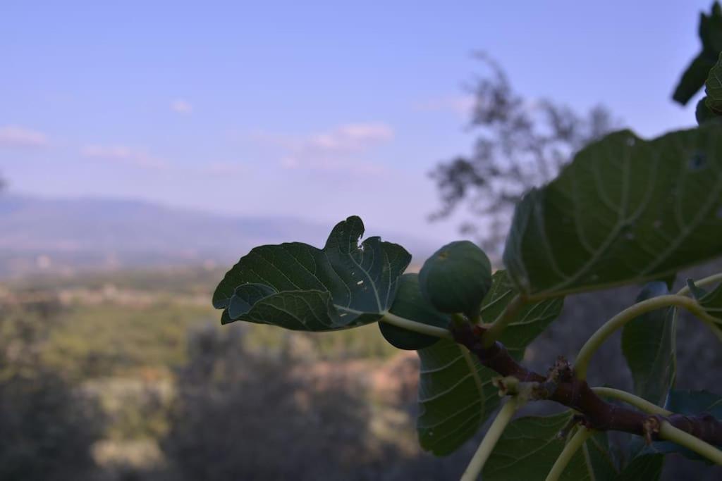 Monolocale, Letto Matrimoniale, La Cantina Vivajo Kültér fotó