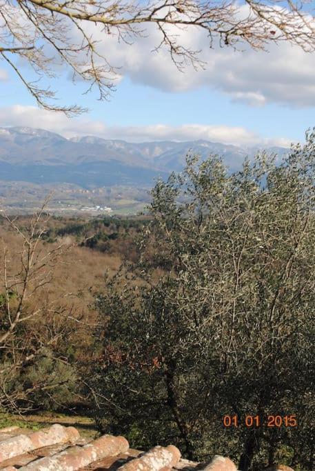 Monolocale, Letto Matrimoniale, La Cantina Vivajo Kültér fotó